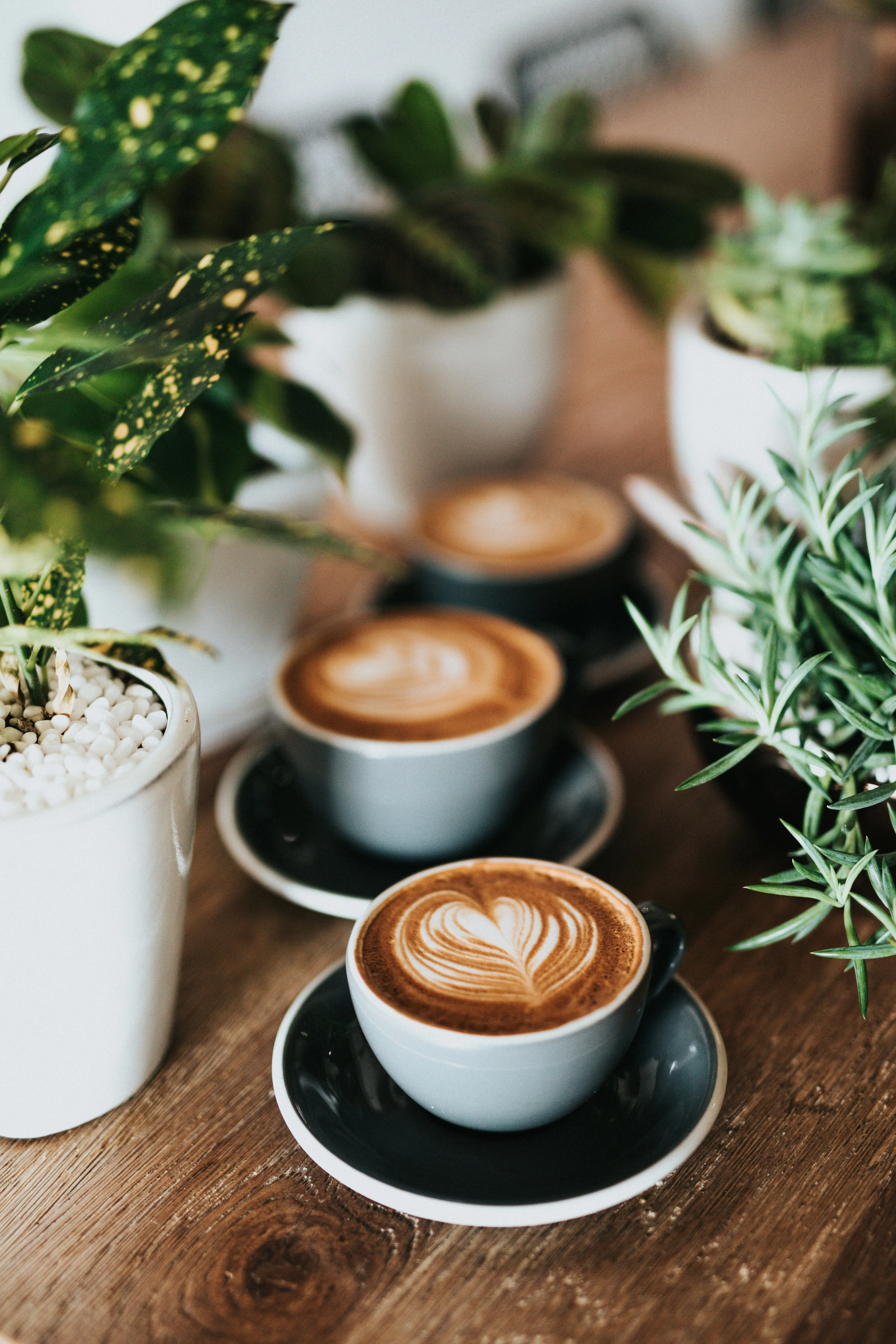 Dining & Coffee near Storm Peak Apartments